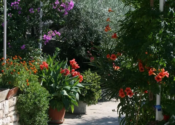 Double Hvar 141b Guest house Hvar Town