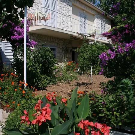 Double Hvar 141b 招待所